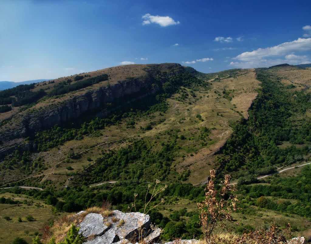 Elengrad-2