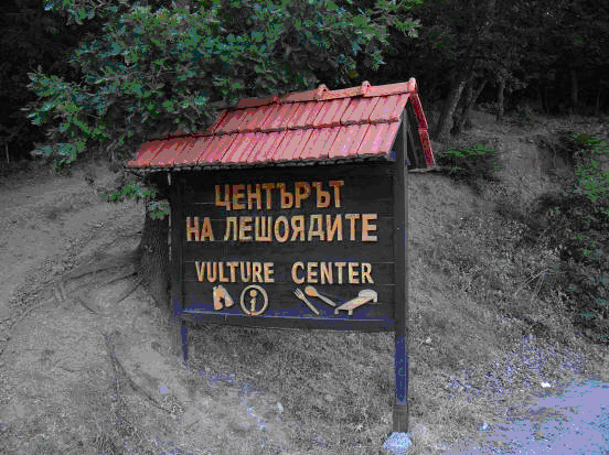 03-Vulture-center