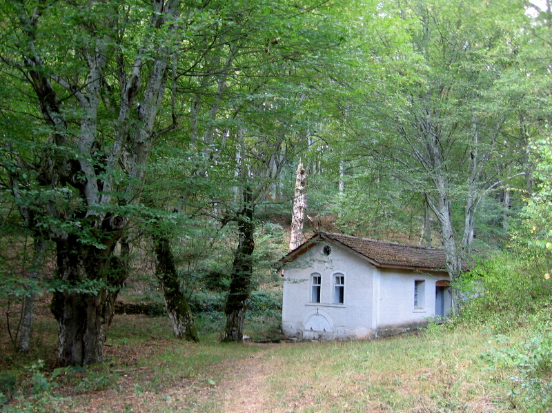 13-SvBogoroditsa-Chernogorovo-1