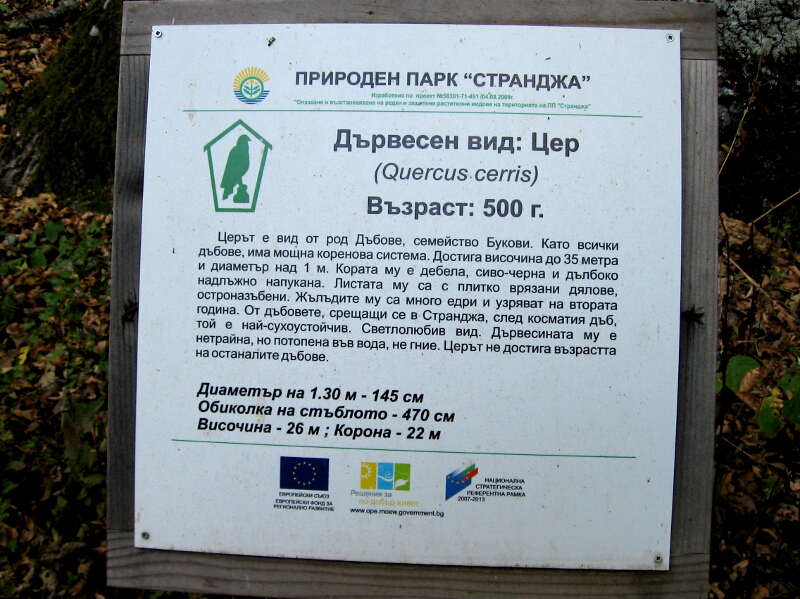 13-SvBogoroditsa-Chernogorovo-4