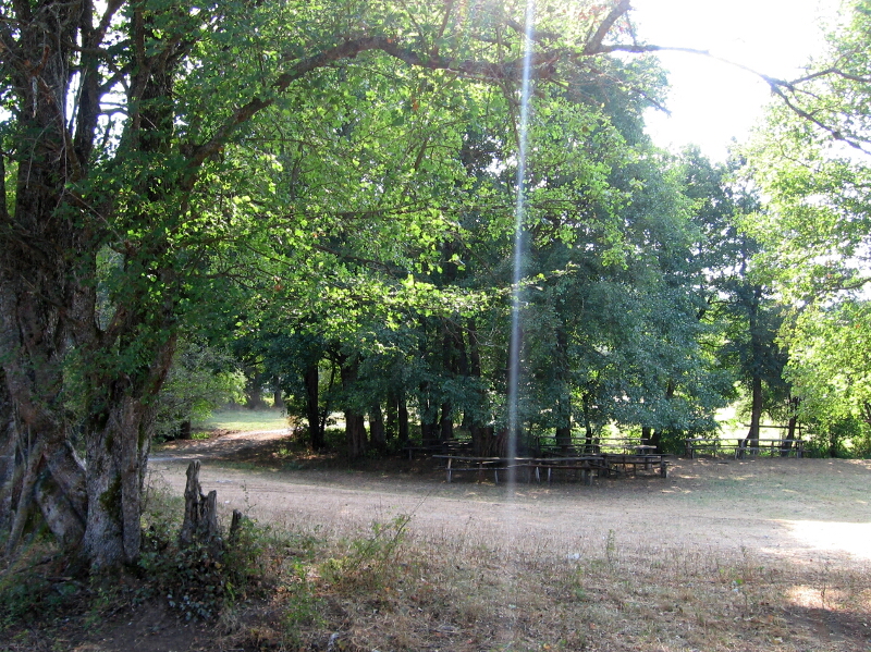 13-SvBogoroditsa-Chernogorovo-5